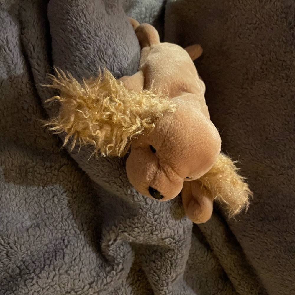 “Spunky” Ty Beanie Baby